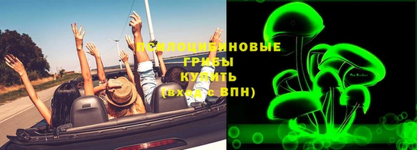 spice Абаза