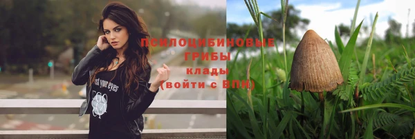 ГАЛЛЮЦИНОГЕННЫЕ ГРИБЫ Михайлов