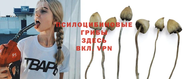 spice Абаза