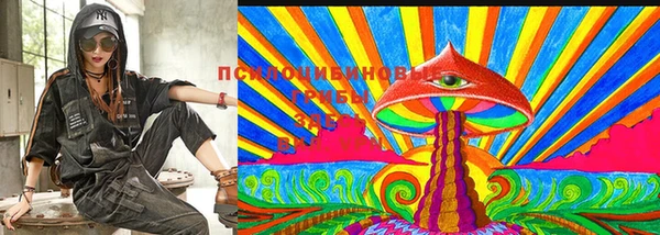 ГАЛЛЮЦИНОГЕННЫЕ ГРИБЫ Михайлов