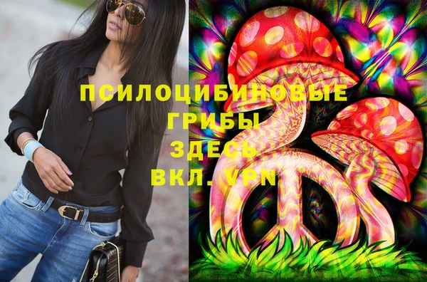 spice Абаза