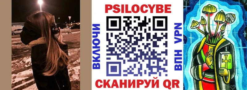 закладка  Ялуторовск  Псилоцибиновые грибы Psilocybine cubensis 
